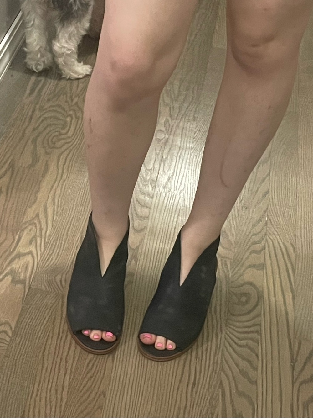 Lucky Brand Rhazy Slingback heels in black leather